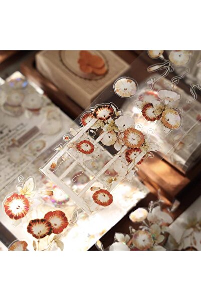 İthal L18-Yier 120cm sabah sefa pet tape με αυτοκόλλητο τελείωμα