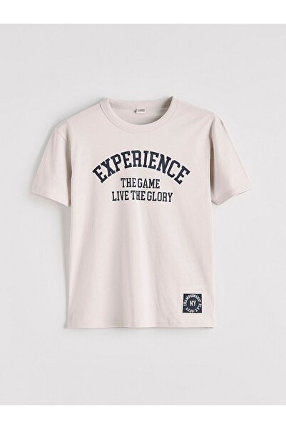 LC Waikiki LCW Kids Crew Neck Printed Boys' T-Shirt