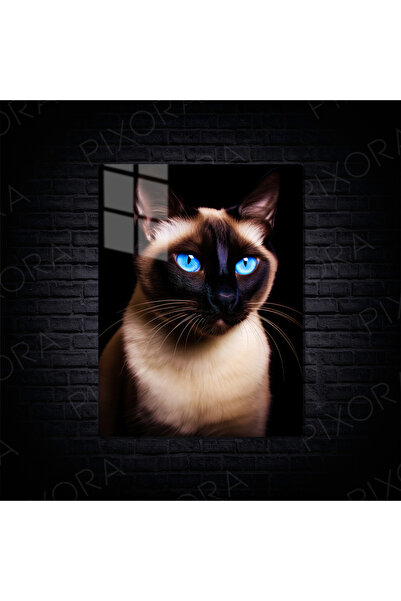 Siyam Kedi Metal Poster-Tablo