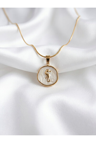 Evorya Women's Stainless Steel Stone Sea Horse Model Necklace