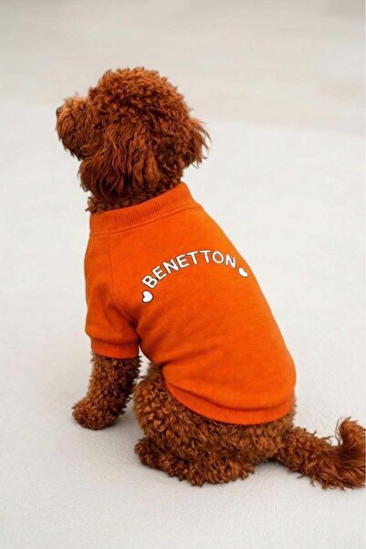 United Colors of Benetton Bnt-S2514 Cat Dog Outfit Sweatshirt Orange