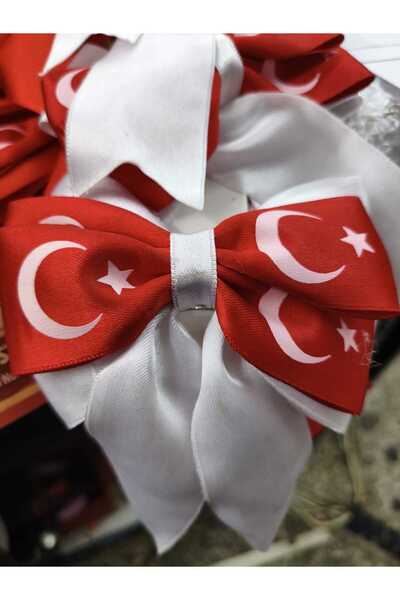 CLARİS مشبك على شكل نجمة القمر