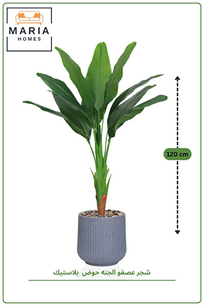 MARIA HOMES 121 cm Artificial Bird of Paradise Plant with Ribbed with Pot – T...