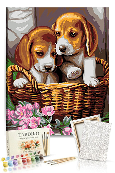 Tabdiko Sayılarla Boyama Seti 40 x 50 cm Tuval Şasesine Gerili Yavru Köpekler