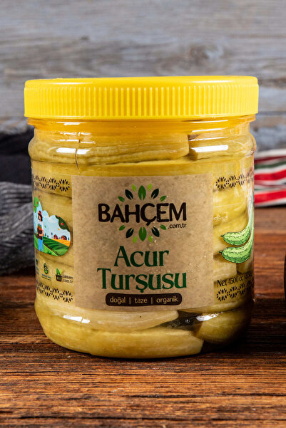 Bahçem Antep Usulü Sade Acur Turşusu 1000 cc Bidon Net 500 g