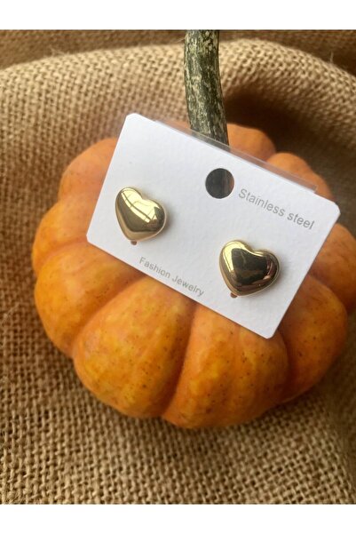 Doğaltaş Masalları Steel Earrings