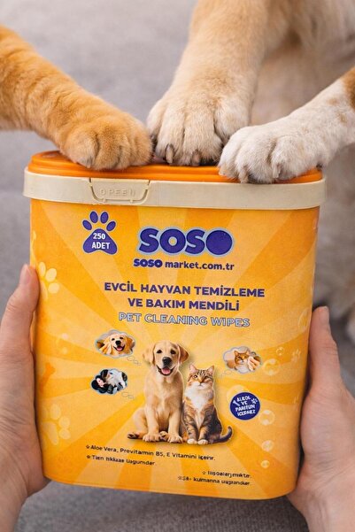 SOSOmarket 2 adet X 250 Yaprak - Soso Kova Evcil Hayvan Kedi Köpek Pati ve Vü...