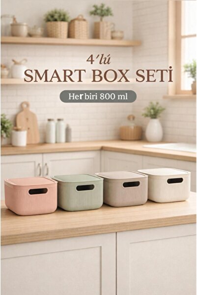 Okyanus Home Linea Smart Box Multi Color 2,4 Lt Κουτί αποθήκευσης πολλαπλών χ...