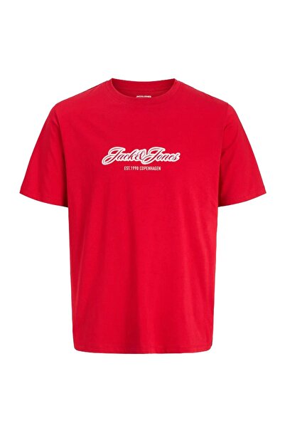 Jack & Jones Ανδρικό T-shirt Jorcatskills 12297893