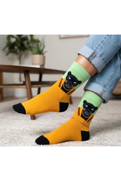 Çorap Kurdu Patterned Colorful Socks