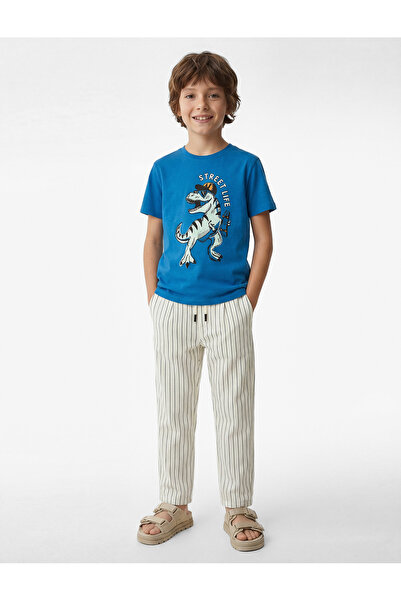 Koton Dinozor Baskılı Saks Erkek Çocuk T-Shirt 6SKB10092TK