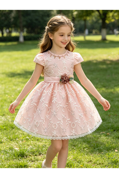Greneric Pink Girl Princess Dress with Lace Embroidery & Crystal Neckline for...