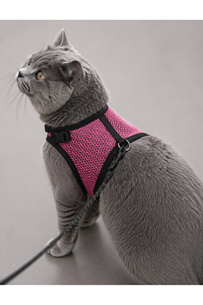 Glipet Kedi Göğüs Tasması Terleme Yapmaz Air Kumaş 120 Cm Ip -25*35 Cm