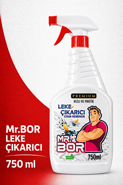 MR.BOR Premium Leke Çıkarıcı 750 ml – Tükenmez Kalem,Yağ, Çay, Kahve,Meyve,Şa...