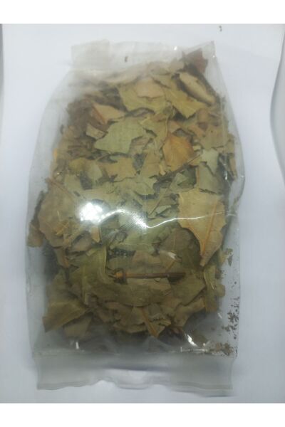 Diyet AVM Avokado Yaprağı Yeni Mahsül 1. Kalite Saf Ürün 50 Gr