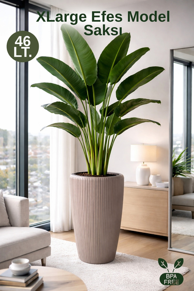 Nandy Home XLarge Efes Model Dekoratif Saksı İç Kovalı - Large Saksı