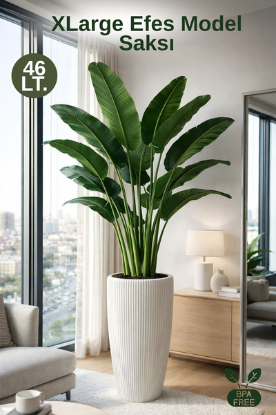 Nandy Home XLarge Efes Model Dekoratif Saksı İç Kovalı - Large Saksı