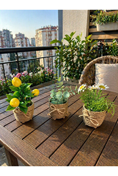 ecrella 3’lü Mini Jüt İpli Saksı Yapay Papatya Limon Okaliptus Seti Dekoratif...
