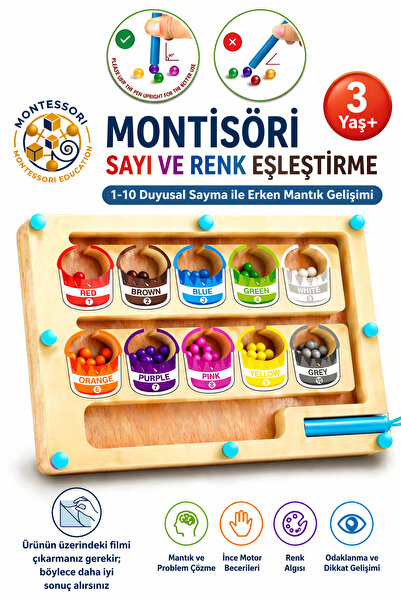 Montessori Magnetic Color and Paint Bucket: 3+ Years Educational Numerical Logic and Counting Toy