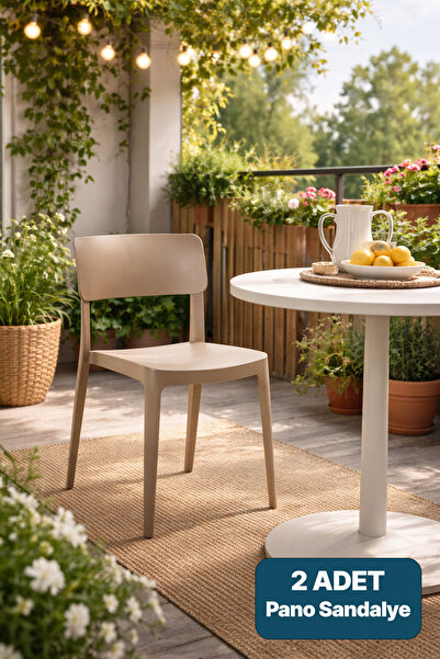 Alezy Pano Renkli Sandalye 2'li Set Cappucino