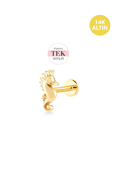 KURSHUNI Taşsız Denizatı, 14 Ayar Altın Kıkırdak Küpe/Piercing (TEK Satılır) ...