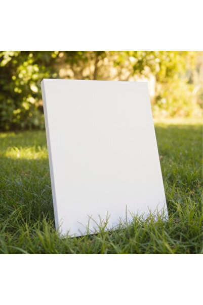 Stor 2'li 25x35 tuval