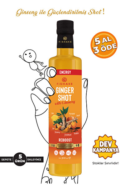 FiShake Ginger Shot & Ginsengli / Zencefil Shot 500 ml