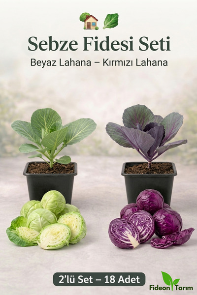 Fideon Sebze Fidesi Seti | Beyaz Lahana – Kırmızı Lahana | 2’lü Set – 18 Adet