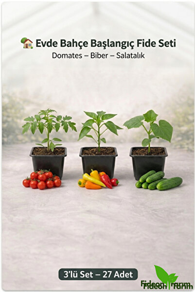 Fideon Evde Bahçe Başlangıç Fide Seti | Domates – Biber – Salatalık | 3’lü Se...