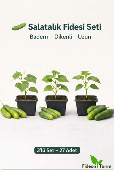Fideon Salatalık Fidesi Seti | Badem – Dikenli – Uzun | 3’lü Set – 27 Adet
