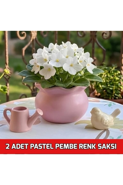 E.M.S AVM Saksı Çiçek Saksısı Menekşe Saksısı Sukulent Saksısı Mumluk Kıvrıml...