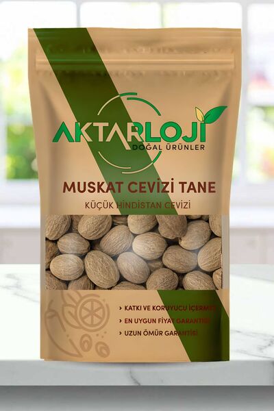 aktarloji 6 Adet Muskat Cevizi / Küçük Hindistan Cevizi / Tane Musgat