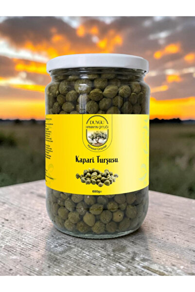 DUYGU HANIM'IN ÇİFTLİĞİ Kapari Turşusu 680 Gr (Mezelik)