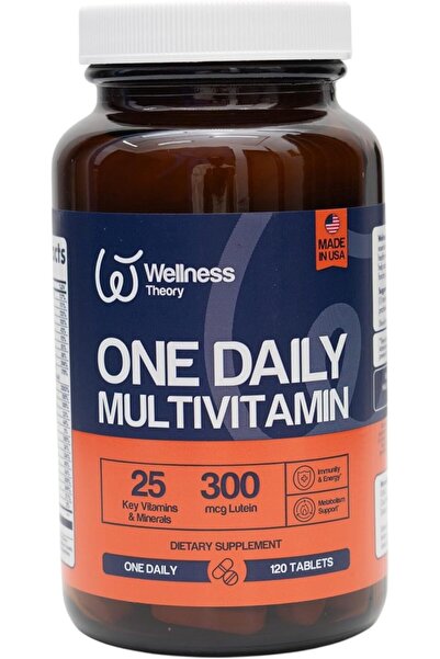 wellnesslog WELLNESS THEORY ONE DAILY MULTIVIT TABS 120