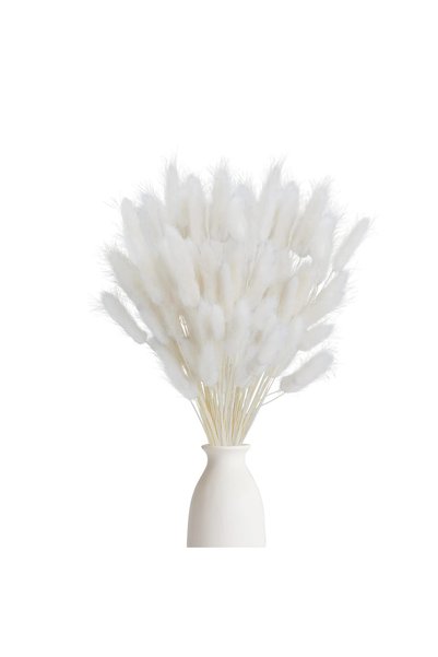 MirageBotanics 120PCS Bunny Tails Dried Flowers, Dried Rabbit Tail Grass Bouquet for Wedding Home Party Decor
