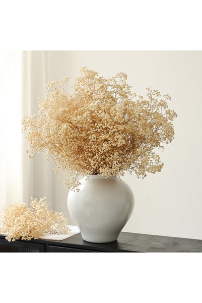 MirageBotanics 2000+ Bulk Bleached Dried Babys Breath Bouquet, Gold Gypsophila Flowers for Home Office Party Decor