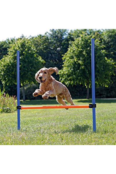 Trixie Obstacol Pentru Caini, Fun Agility, Plastic, 123x115 cm, 3207