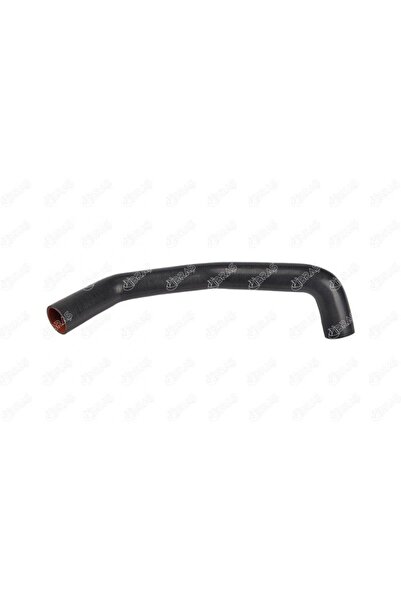 IBRAS IBR 12319 TURBO HORTUMU 8200653594