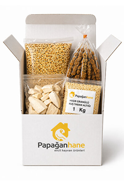 Papağanhane Muhabbet Kuşu 4’lü Mega Set | Yem 1Kg + Dal Darı + Kalamar + Taba...