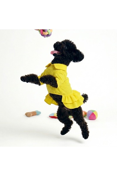 Buddy Store Crinkle Collection – Sarı Elbise (Premium)