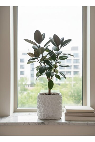 triora LastRock Model: Modern Ev Dekorasyon Saksı 15cm yükseklik x 17,5cm gen...