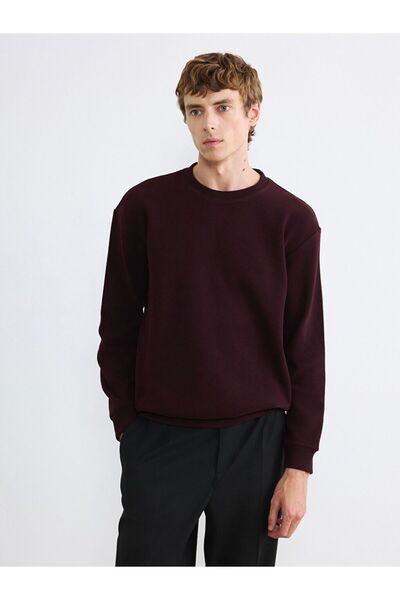 LC Waikiki Lcw Vision Brown Crew Neck Thick Fabric Men's Sweatshirt