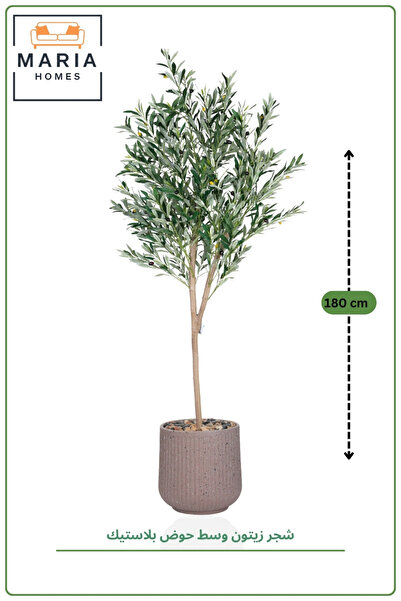 MARIA HOMES Artificial Olive Tree 180cm in Plastic Pot for Home and Office De...
