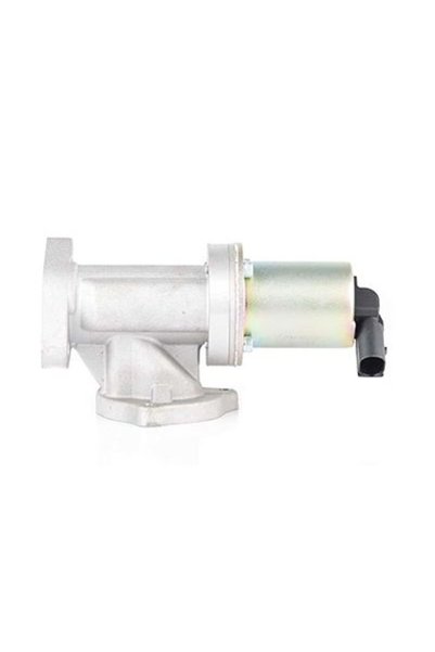 BSG 40-836-002 EGR VALFI 2841027410