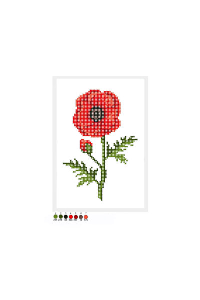 Studioul de Broderie ΣΧΕΔΙΟ ΚΕΝΤΗΜΑΤΟΣ ΜΕ ΧΑΝΤΡΕΣ "Παπαρούνα " για αρχάριους,...