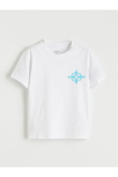LC Waikiki RMZ GİYİM FARKİLYA Tricou imprimat pentru băieți