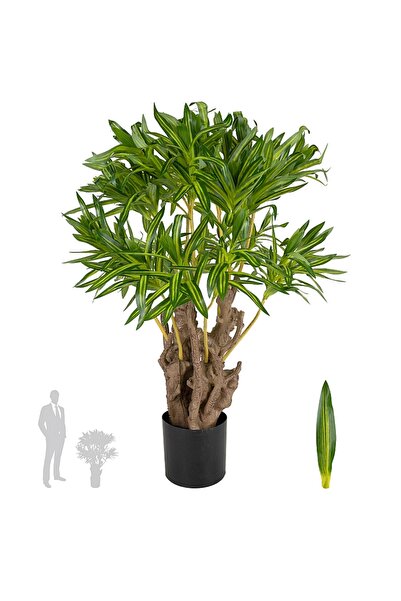 Roberto Rossi Dracaena artificiala reflexa cu trunchi ramificat si 396 frunze...