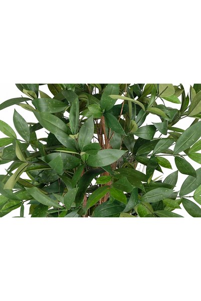 Roberto Rossi Dracaena artificiala surculosa H120 cm cu 472 frunze