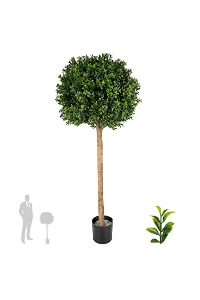 Roberto Rossi Buxus artificial H105cm cu o coroana D40cm