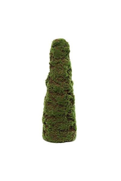 Roberto Rossi Planta artificiala Muschi 18X53 cm HO